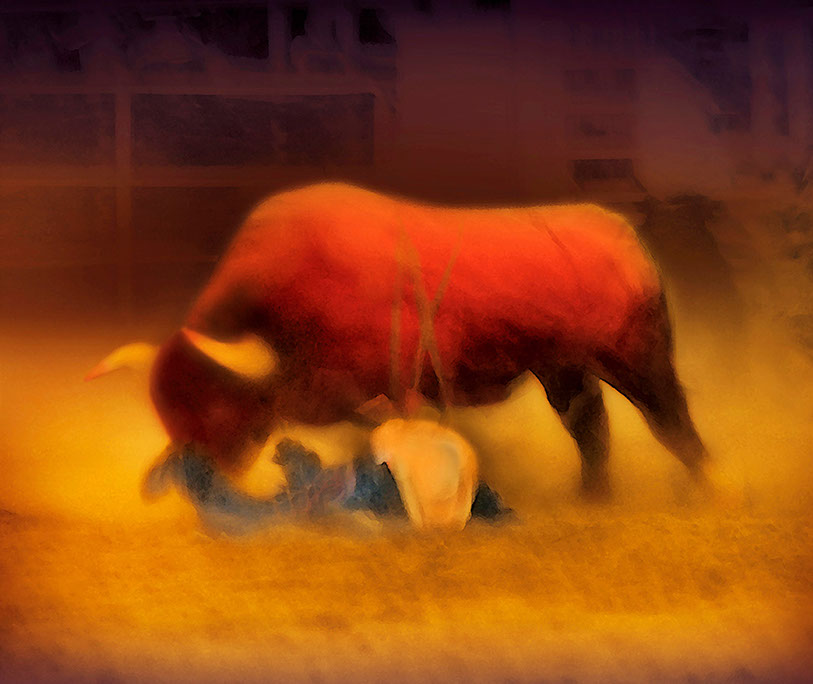 Cowboy Down Rick Meoli Contemporary Photography