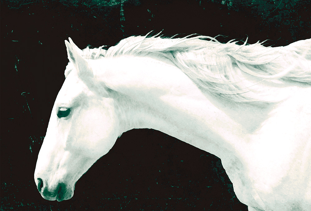 Ghost Runner Rick Meoli Contemporary Photography