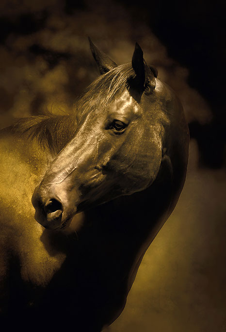 Mickey Rick Meoli Contemporary Photography: Meoli Out West