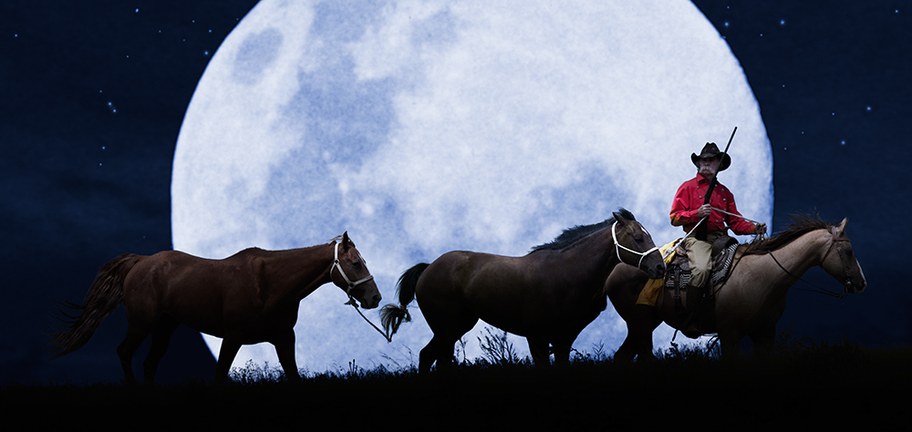 Moonlit Horse Thief Rick Meoli Contemporary Photography: meolioutwest