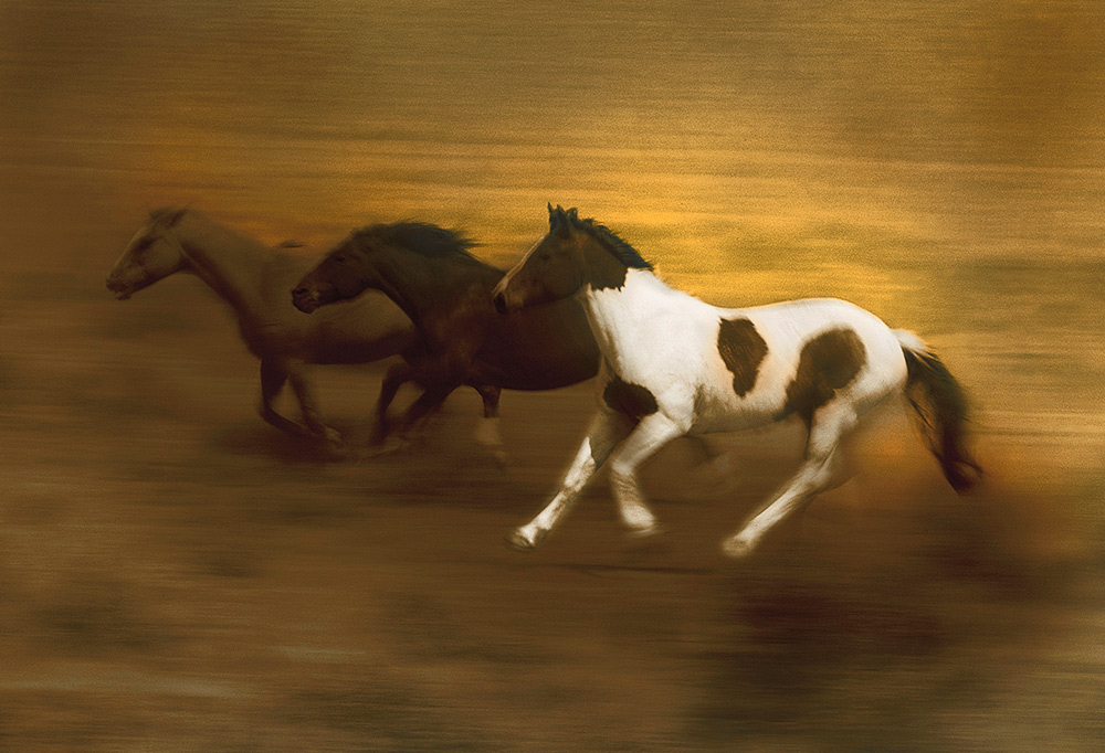 Racing The Wind Rick Meoli Contemporary Photography: meolioutwest