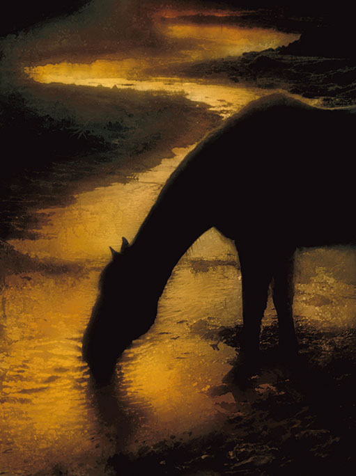 Sunrise Sip Rick Meoli Contemporary Photography: meolioutwest