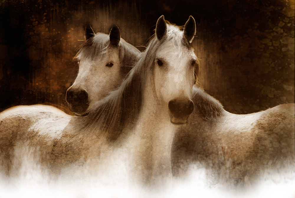Twins Rick Meoli Contemporary Photography: meolioutwest