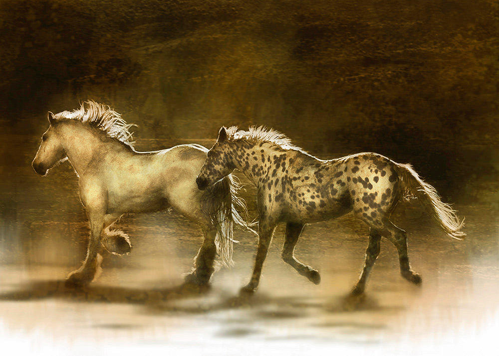 Wanderers Rick Meoli Contemporary Photography: meolioutwest