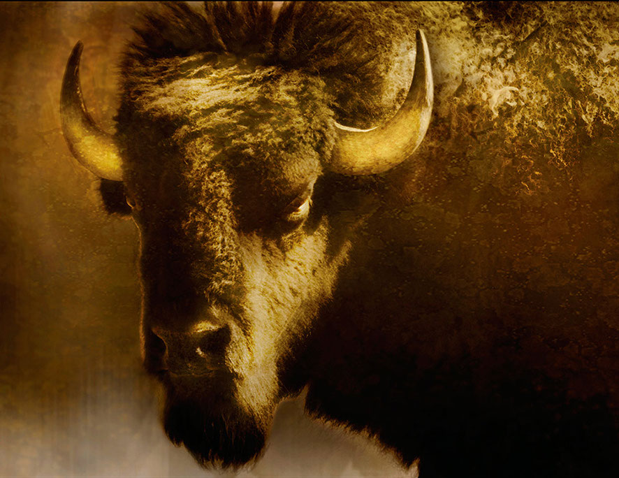 Western Heritage Rick Meoli Contemporary Photography: meolioutwest